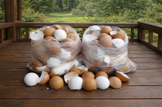 Skorupki jaj w domu i ogrodzie: Praktyczne sposoby na wykorzystanie naturalnych zasobów